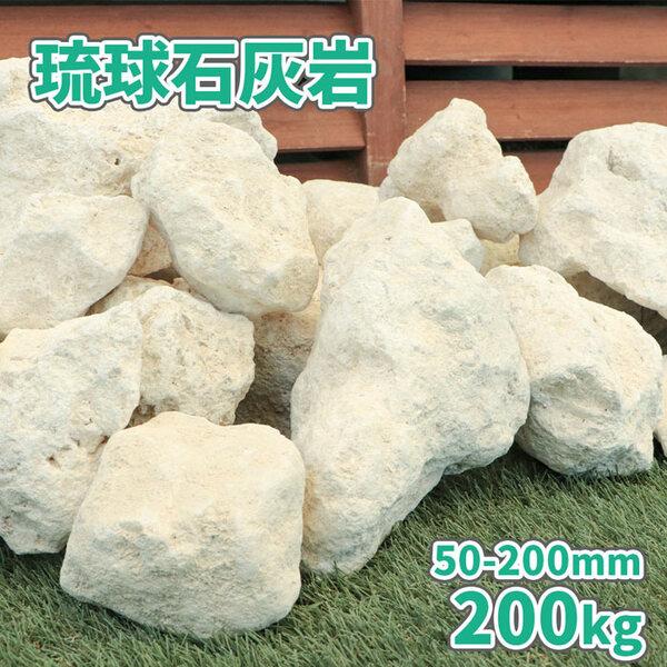 琉球石灰岩 50-200mm 200kg (10kg×20箱) / 庭 石 置き石 おしゃれ