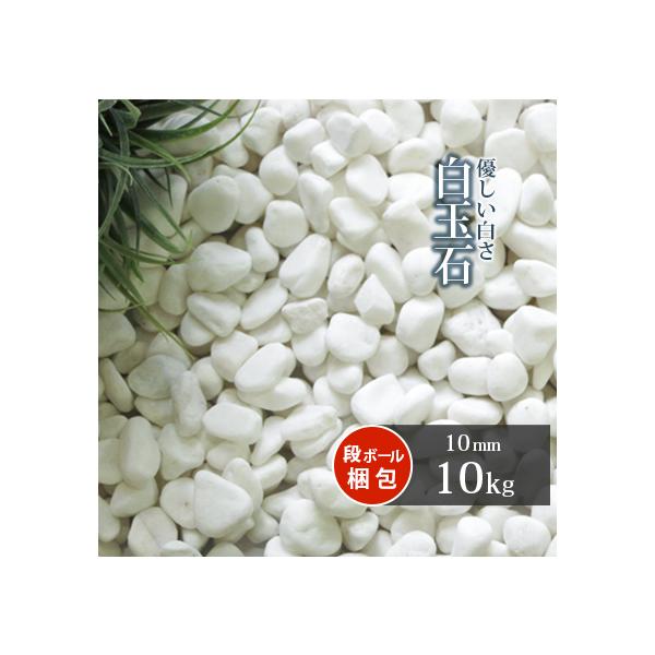 ʐ 10mm 10kg /      zCg ʐ ʍ   K[fjO diy K[f | ϐ ύ