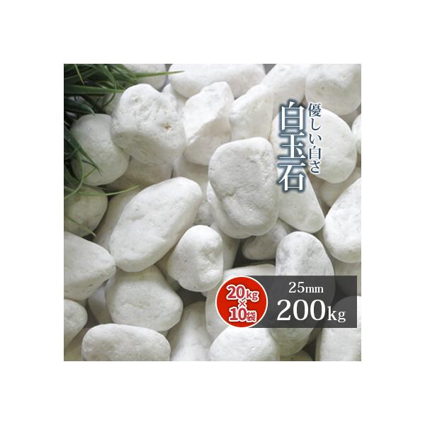 ʐ 25mm 200kg (20kg×10) /       diy K[fjO | ~ ~ ~  zCg