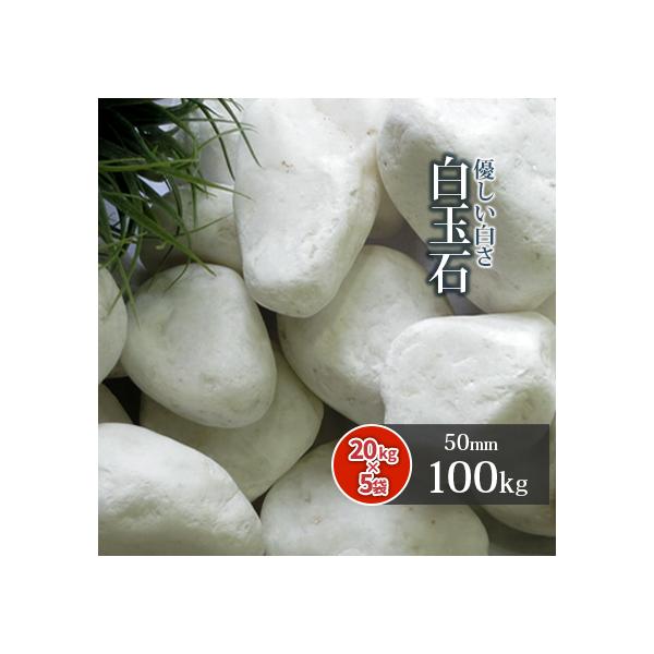 ʐ 50mm 100kg (20kg×5) /      diy K[fjO | a Β 뉀 m K[f hCK[f ʐ