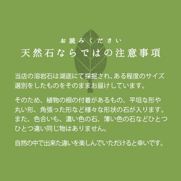 溶岩砂利 ブラック 0 mm 10kg おしゃれ 庭 熔岩 溶岩 砂利 黒 石 アクアリウム ガーデニング 底床 底砂利 水槽 小粒 Volj S B 東海砂利 株式会社 通販 Yahoo ショッピング