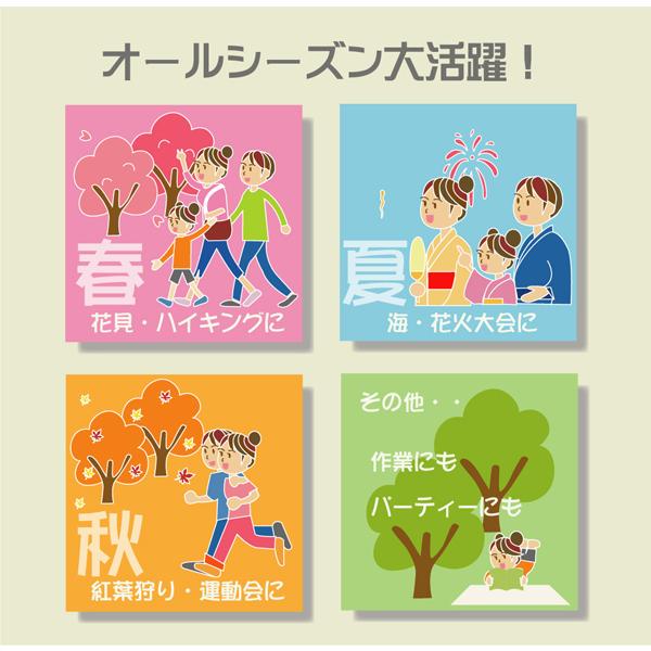 洗える Ppカーペット ラグマット ベージュ 江戸間2畳 日本製 アウトドア対応 イースト 約174cm 174cm 新作 人気