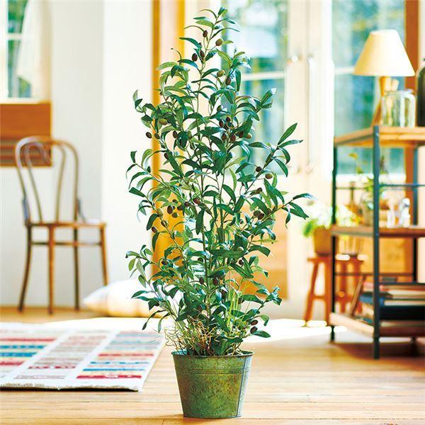 人工観葉植物 造花 オリーブ 小 約高さ68cm ポリ塩化ビニール リビング 店舗 ショップ お店 Ds 総合通販 Room Lifee 通販 Yahoo ショッピング