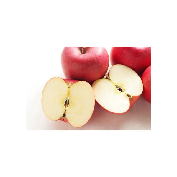 【お申し込みは2026年1月9日まで お届けは1月10日から】青森県産　サンふじりんご 約1.2ｋｇ（5個） ＜　送料 ・ 消費税込！　ギフトに ＞