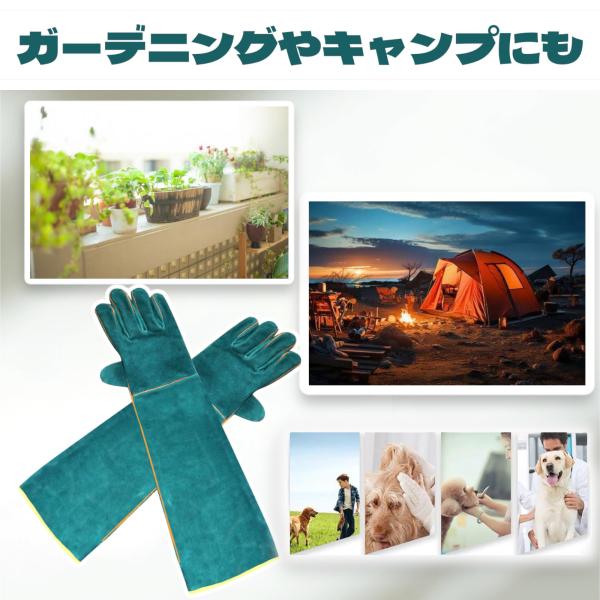 tokimekumono_002-a_3_d_20240103103420