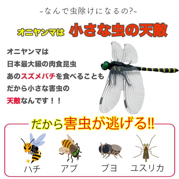 tokimekumono_047_5_d_20250809113231