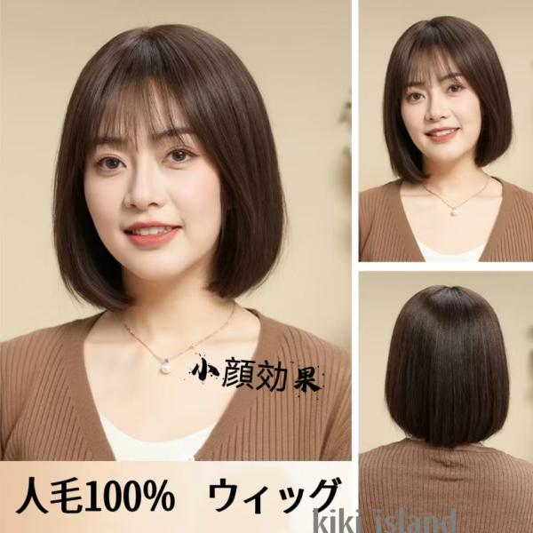 レディースウィッグ  人毛100%  女性用かつら  フルウィッグ 高品質  中高年  通気性抜群  ふんわり  自然  脱毛症 薄毛 白髪隠し 医療用 母の日 プレゼント