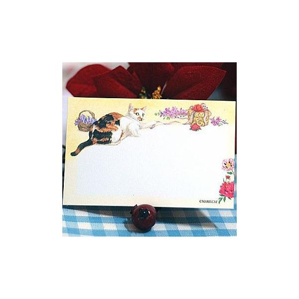 J[h POZbg mariecat }GLbg  Lbg L ˂ ؍ (107-6-Ribbon)