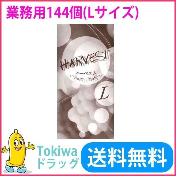 Rh[ыƖp 144R kTCY n[xXg D Rh[ ǁ[ ߘa7N 2025N