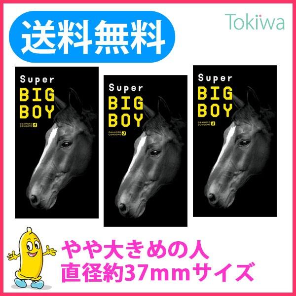 Rh[ ǁ[ X[p[rbO{[C 12R×3 [ D 傫 Rh[ ߘa7N 2025N