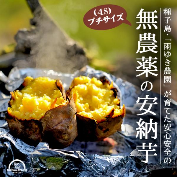 安納芋 種子島 5kg 安納こがね 4s 無農薬 送料無料 幻の芋 安納 安納芋 種子島 5kg 安納こがね 4s 無農薬 送料無料 幻の芋 安納