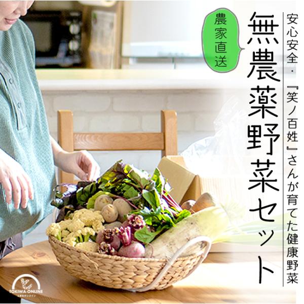 野菜苗、詰め合わせ、ゆうパック発送 25df8524f201c4009f99a5014df3fe