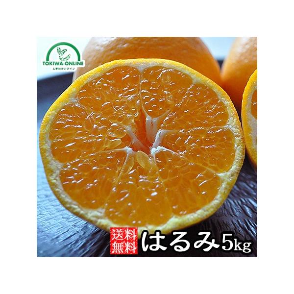 �͂�� �݂��� �~�J�� �������� 5kg �a�̎R�Y �_������ �ʕ� �m�[���b�N�X ���S ���S �O���[���W�����N�V����