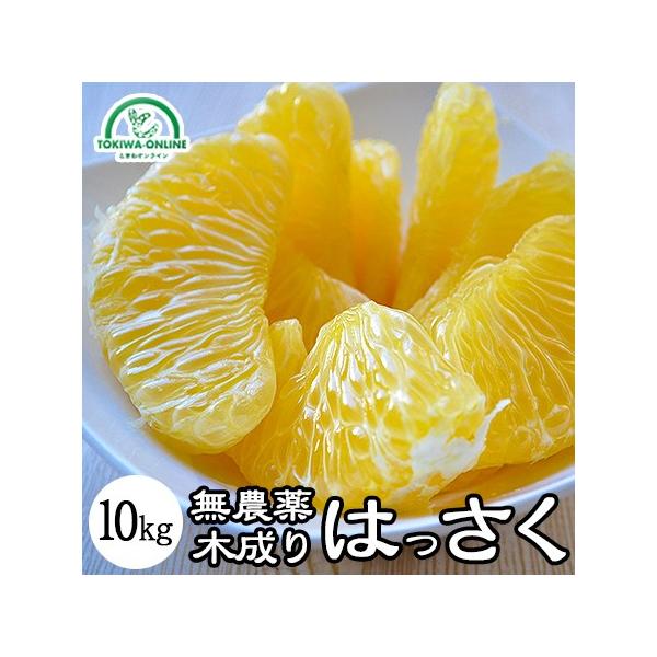  ͂ 10kg  _ m[bNX _ ؐ L@ |Cg O[WNV