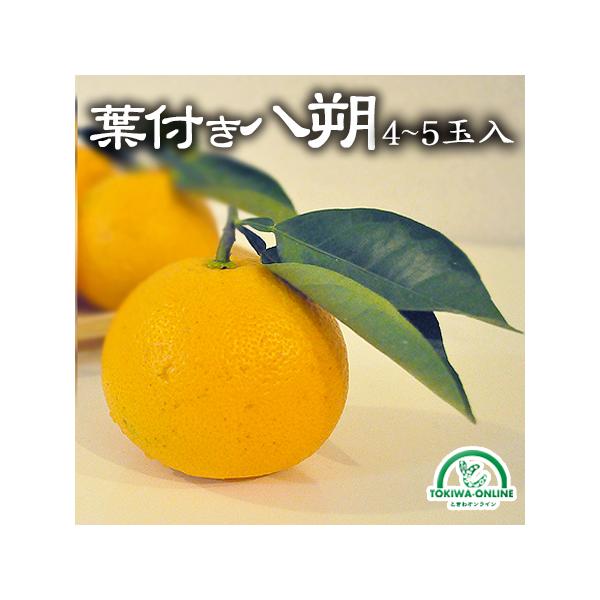 ͂  tt  4`5ʓ _ L@ |Cg O[WNV