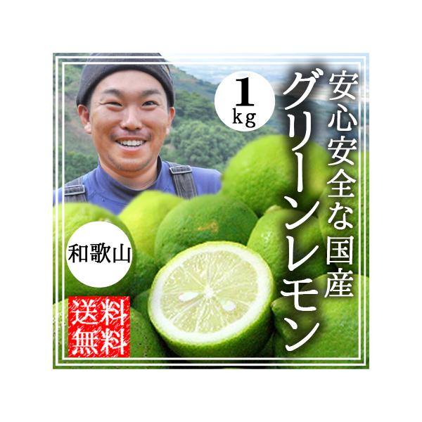 レモン 無農薬 国産 1kg 送料無料 グリーンレモン 青レモン 無農薬レモン ノーワックス 有機栽培 和歌山産 レモン酢 塩レモン 産地直送 グリーンジャンクション