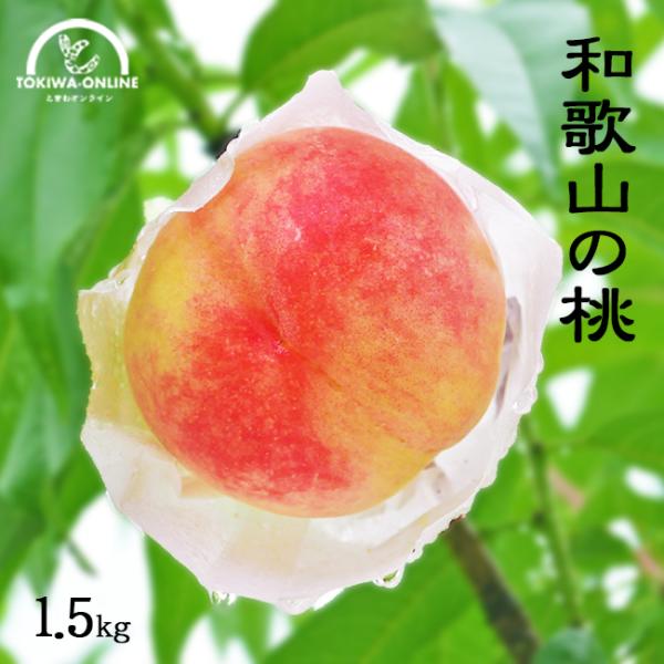 ���̓� ���_�� �� 1.5kg �a�̎R ������ �M�t�g �Y�n���� �䒆�� ���蕨 �v���[���g �_������ ���P ���씒�P �쒆�����P ���� �O���[���W�����N�V����