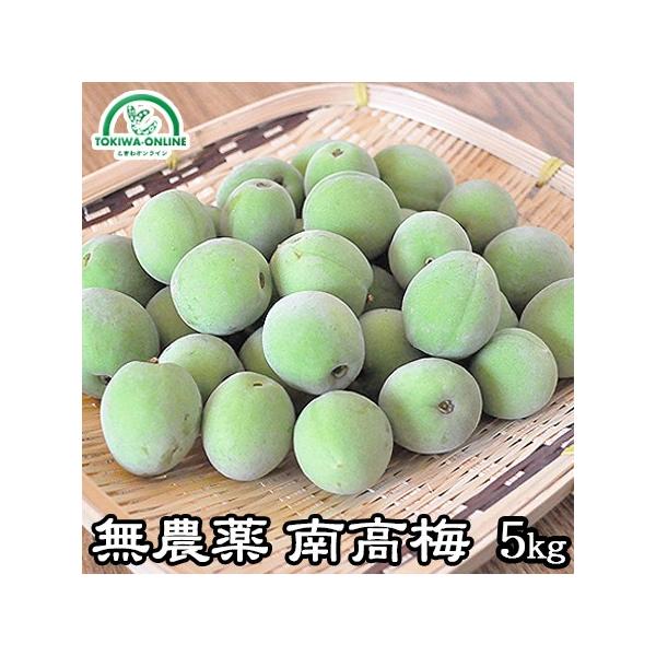 �~ �썂�~  ���_�� �~ 5kg �������� �~�� �~�V���b�v �~�| �~�d��  �a�̎R �_������ �Y�n���� �O���[���W�����N�V����