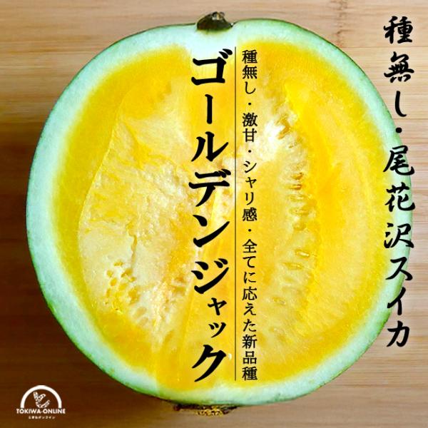 訳ありゴールデン・ジャックすいか２Ｌサイズ２個入り 訳あり 尾花沢 スイカ 種なし ゴールデンジャック 大玉 2L 6kg