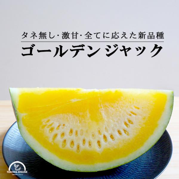 訳あり 尾花沢 スイカ 種なし ゴールデンジャック 大玉 2L 6kg