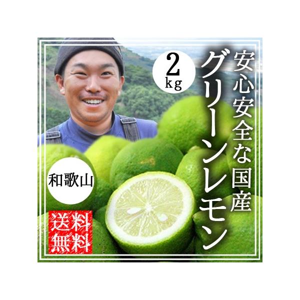  _ Y 2kg  O[  _򃌃 m[bNX L@͔| a̎RY |  Yn O[WNV