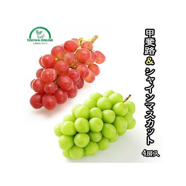 甲斐路 ぶどう」の人気商品一覧・価格比較 - 価格.com