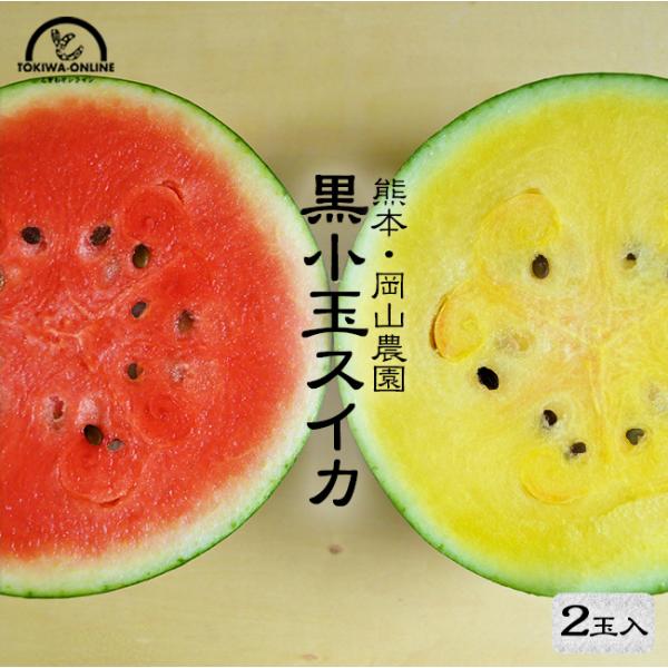 熊本県産小玉スイカ　3〜6玉入り2箱　家庭用 4009.jpg