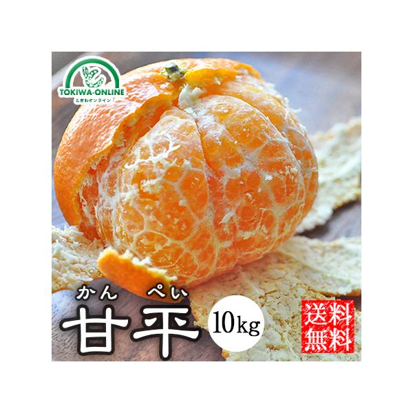 Õ ݂ 10kg ؂  Q l _ Yn m[bNX }iJ_