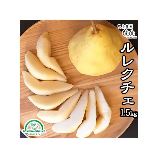N`F m  1.5kg Mtg 蕨 nY HΎY N`F miV ʕ  p _ Yn