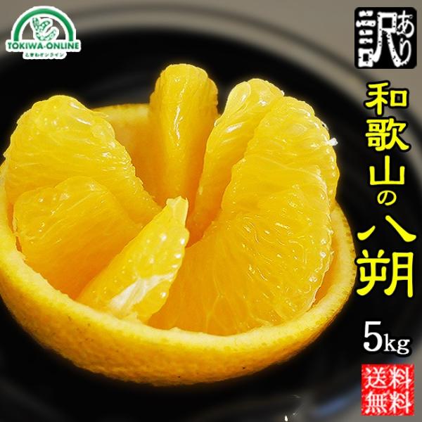  ͂ 5kg 󂠂  a̎R m[bNX _  |Cg ܂_