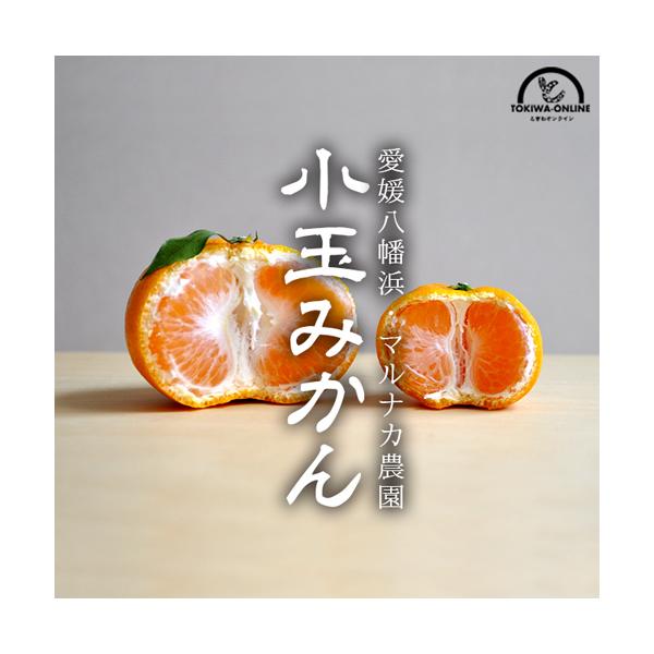 ݂    10kg 󂠂 ݂ Q l   }iJ_ _ƒ Yn m[bNX ʕ t[c