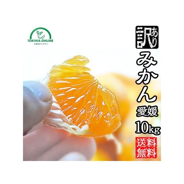 ݂ 10kg 󂠂  Q m[bNX _ƒ B݂ ݂ ʕ lY Yn ~J }iJ_