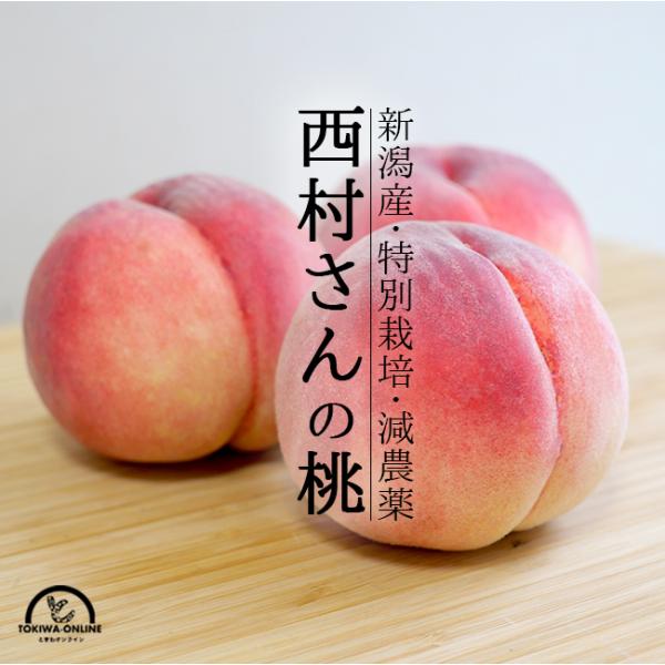 桃 2kg あかつき なつおとめ 白根白桃 まさひめ 新潟 果物 お取り寄せ 通販 農家直送 西村果樹ガーデン