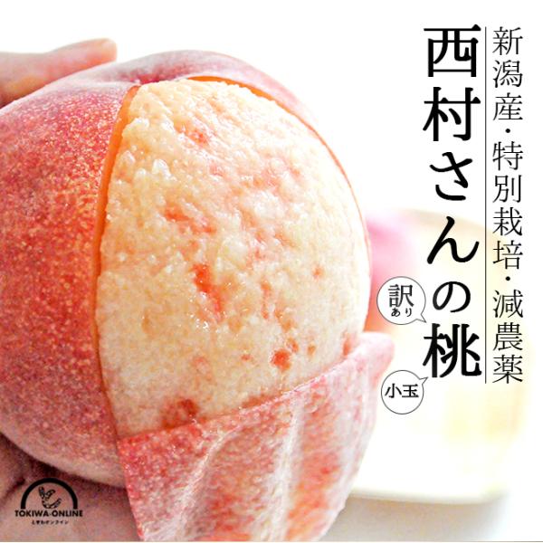 桃 訳あり 5kg あかつき なつおとめ 白根白桃 まさひめ 新潟 桃 訳あり 5kg あかつき なつおとめ 白根白桃 まさひめ 新潟