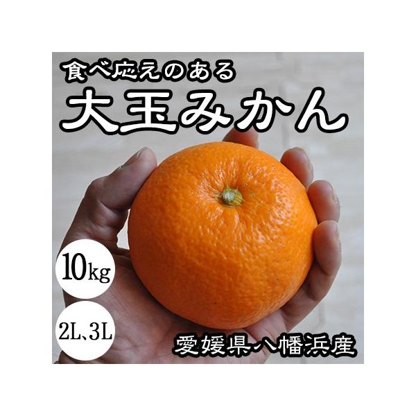 ʂ݂ 3L 2L  10kg Q lY m[bNX ݂ ʕ _ Yn  }iJ_