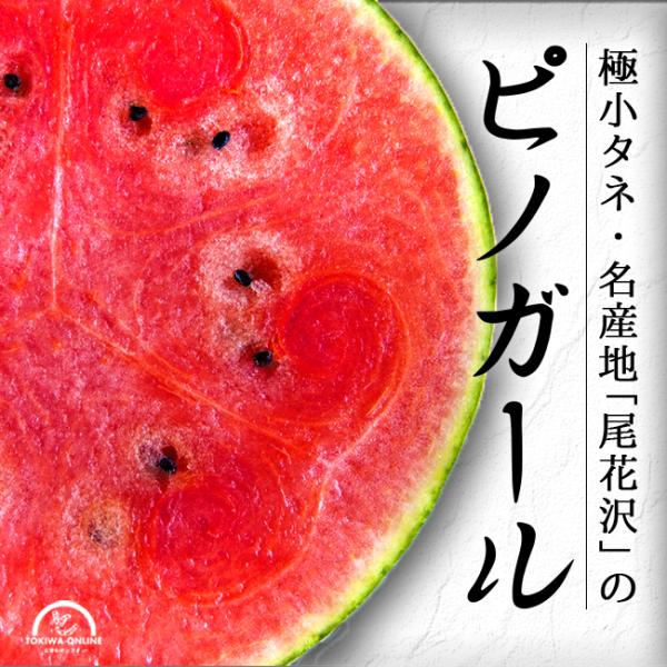 尾花沢 スイカ ピノガール 小玉 3玉入 M 山形 お中元 お盆 お供え ギフト プレゼント 贈り物 送料無料 農家直送 すいか 西瓜 むらかみ農園
