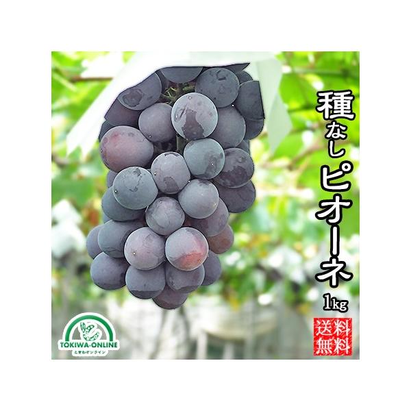 ���i�摜