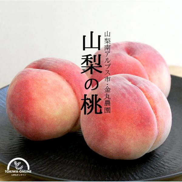 ������ �� �A���v�X���l �Ȃ��� 2kg �R�� �M�t�g �Y�� �Y�n���� �������� ���蕨 ���� �G ���G ���۔_��