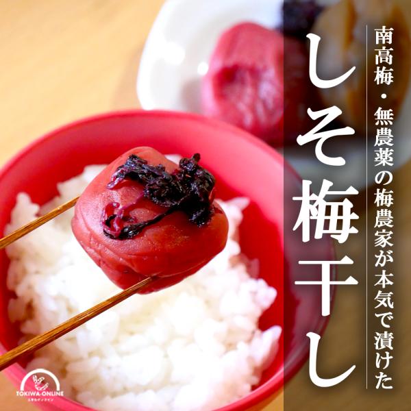 梅干し しそ 紫蘇 800g (200g×4パック) 無添加 無農薬 紀州 南高梅 農家の梅干し 和歌山 グリーンジャンクション