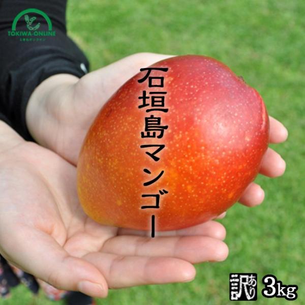 訳あり ミニマンゴー 4キロ (クール便発送) 訳あり ミニマンゴー 4キロ (クール便発送) - メルカリ