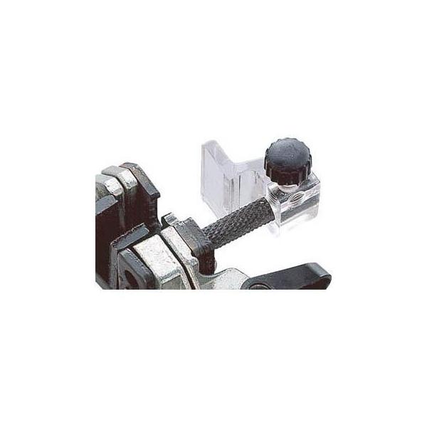 ACfA LB-1195 C[Xgbp[ Cgp