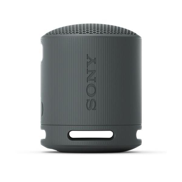 ソニー(SONY) SRS-XB100(B) (ブラック) ワイヤレスポータブルスピーカー