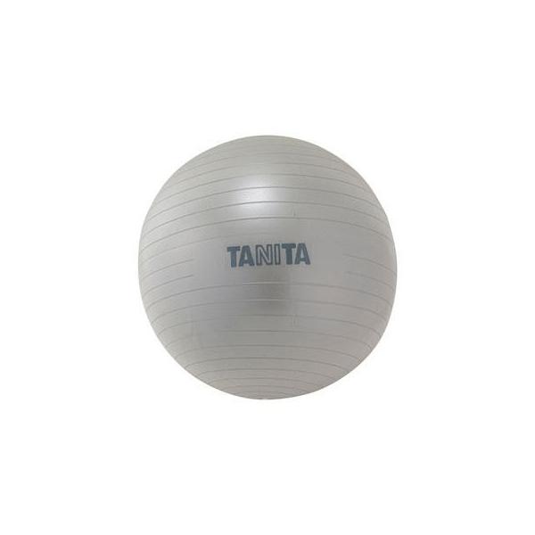 他サイト： タニタ(TANITA) TS-962 シルバー タニタサイズ ジムボールの商品画像
