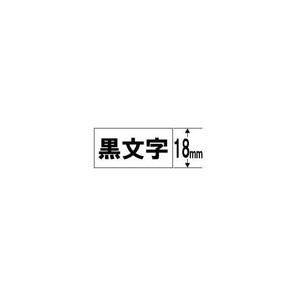 CASIO(�J�V�I) XR-18BWE �l�[�������h �R�ۃe�[�v �� 18mm