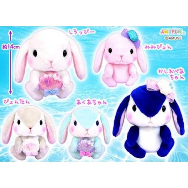売れ筋がひ ぬいぐるみ ぽてうさろっぴーst 30個入 ぬいぐるみ 種類 Am かしおぺあちゃん Www Collectiviteslocales Fr