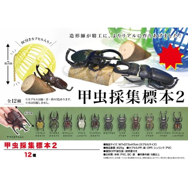 新作コレクション 昆虫 甲虫採集標本2 240個入 Ose2317 1 Tokotoko Wholesale Japan 通販 Yahoo ショッピング 0de44e90 注目ブランド Mios Co Jp