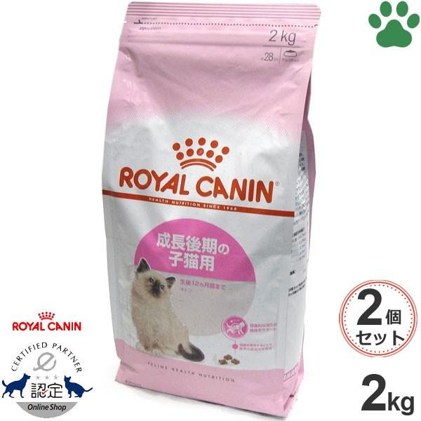 0 2個セット 正規品 ロイヤルカナン 猫ドライ キトン 2kg 成長後期の子猫用 12か月まで キャットフード ドライ ロイカナ Fhn Set2 ナチュラルスタイル For Pets 通販 Yahoo ショッピング