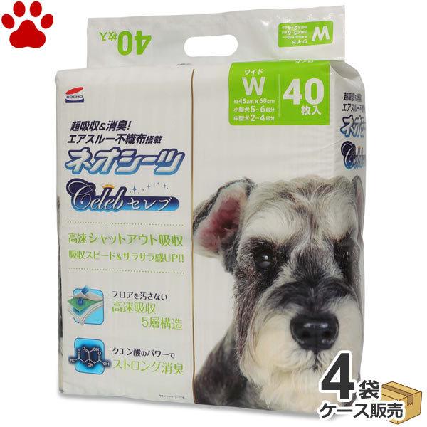 P[X@Y@R[`[@^@lIV[c Zu@L/NG_@Ch@160 (404)@ybgV[c@O[@Celeb@Ɩp