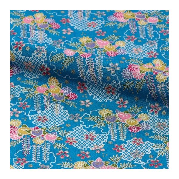 a n FT ʂ߂ ւɓ (F) 10cmP ؂蔄