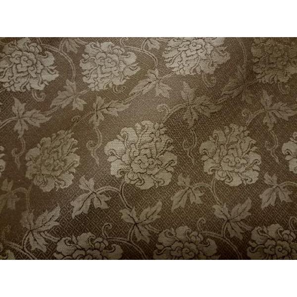 a n MD jq O  10cmP ؂蔄